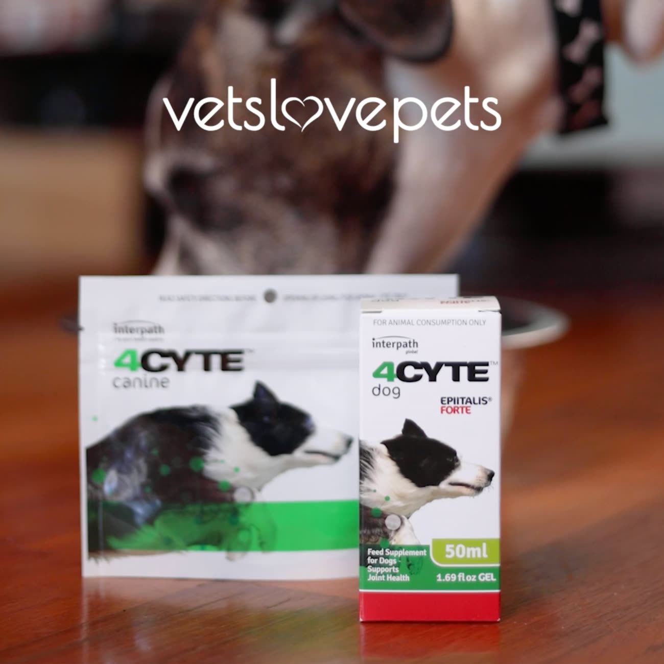 Vets Love Pets