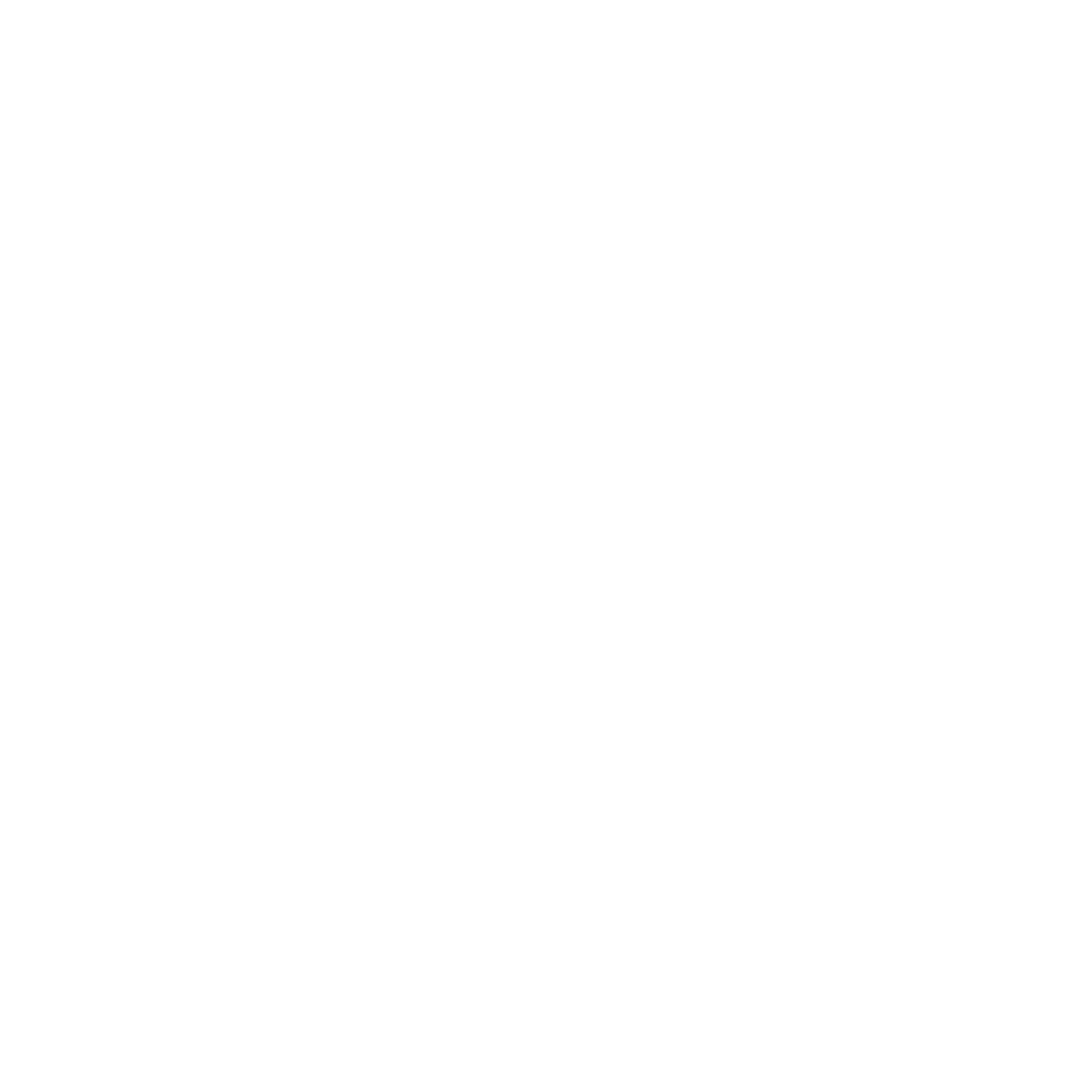 EVY Professional