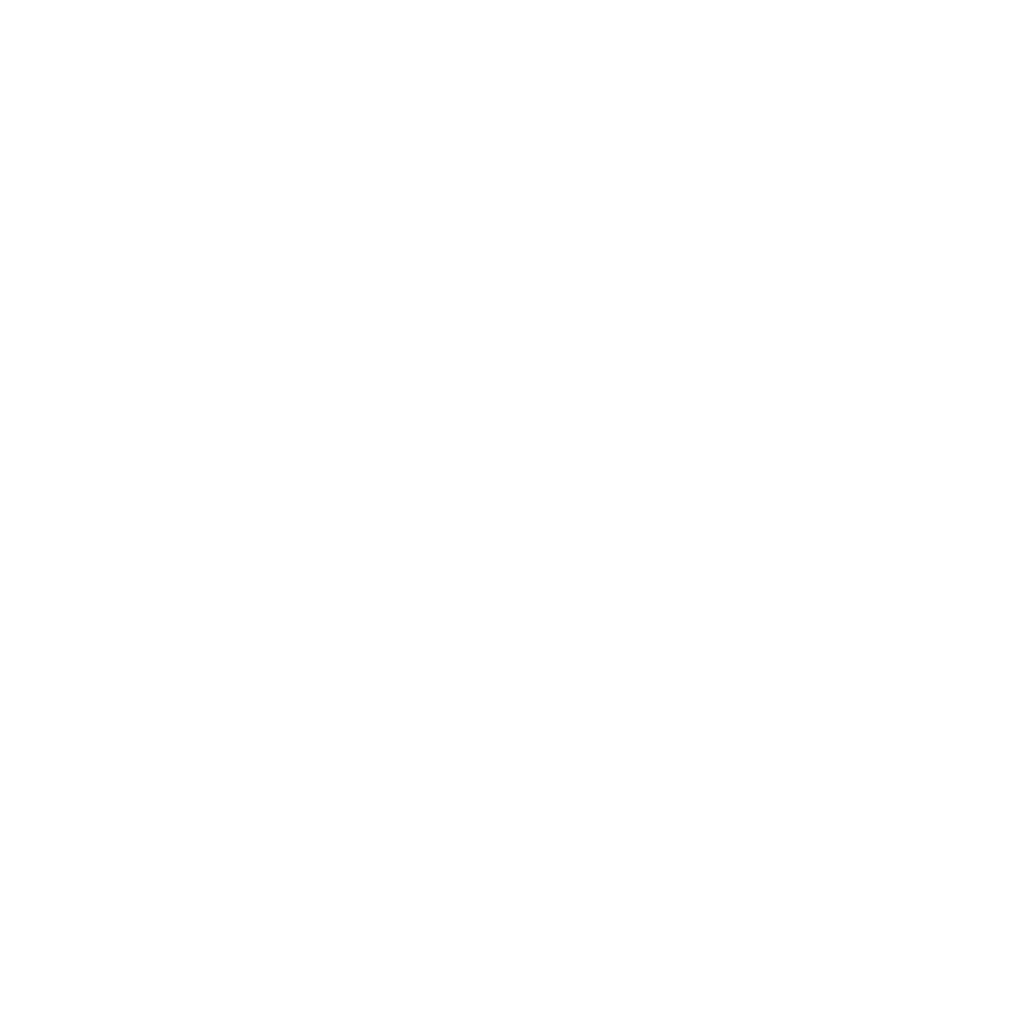 The Sneaker Laundry